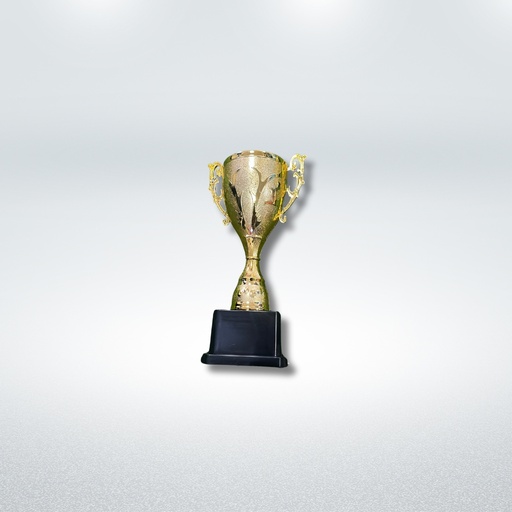 Trofeo Copa Mini